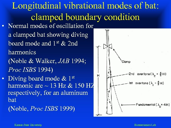 Longitudinal vibrational modes of bat: clamped boundary condition • Normal modes of oscillation for