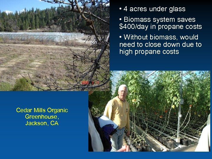  • 4 acres under glass • Biomass system saves $400/day in propane costs