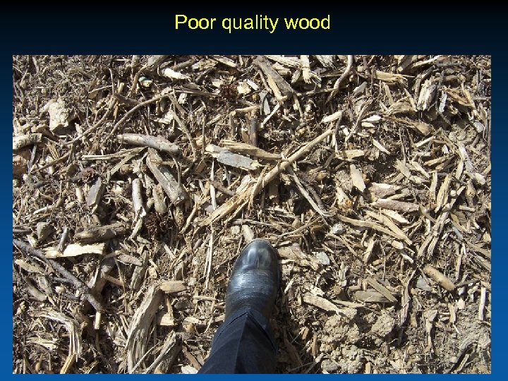 Poor quality wood 