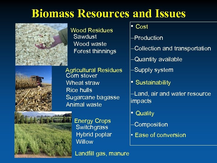 Biomass Resources and Issues Wood Residues Sawdust Wood waste Forest thinnings • Cost –Production