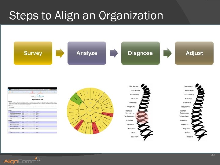 Steps to Align an Organization Survey Analyze Diagnose Adjust 30 