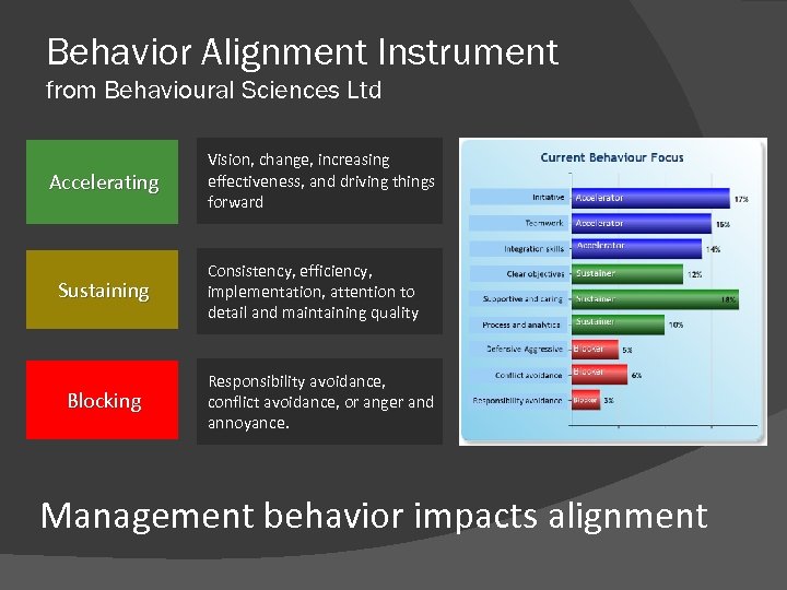 Behavior Alignment Instrument from Behavioural Sciences Ltd Accelerating Sustaining Blocking Vision, change, increasing effectiveness,