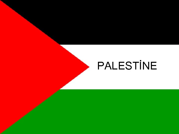PALESTİNE 