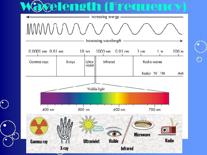 Wavelength (Frequency) 