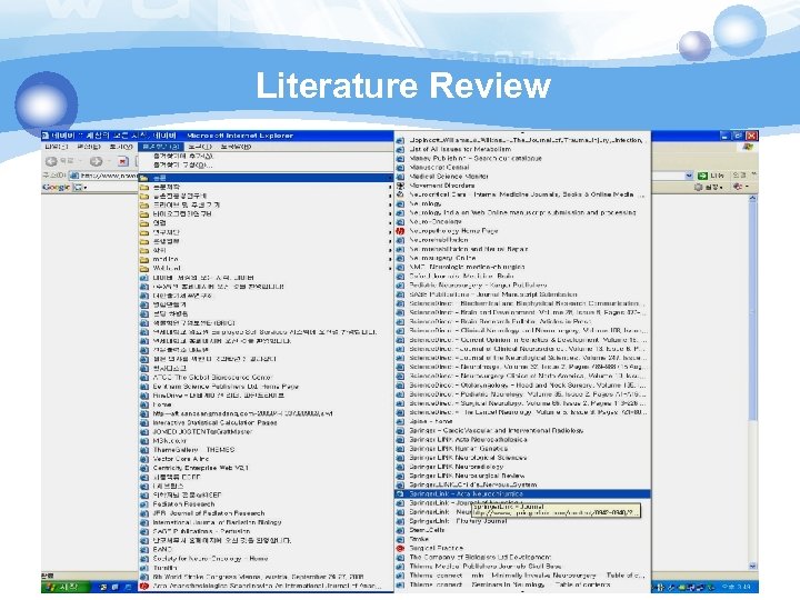 Literature Review 