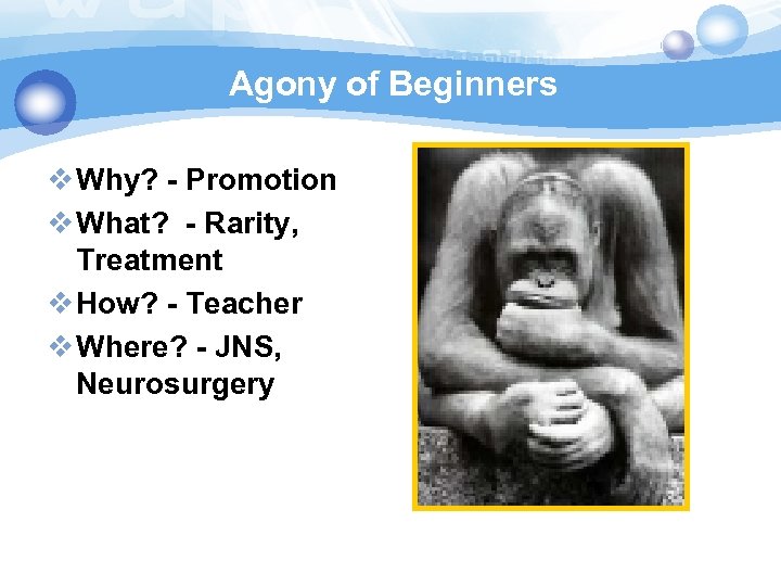 Agony of Beginners v Why? - Promotion v What? - Rarity, Treatment v How?