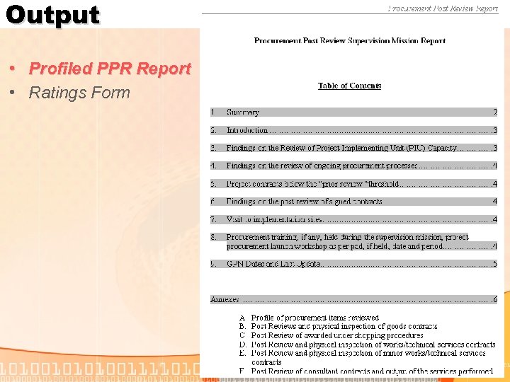 Output • Profiled PPR Report • Ratings Form 