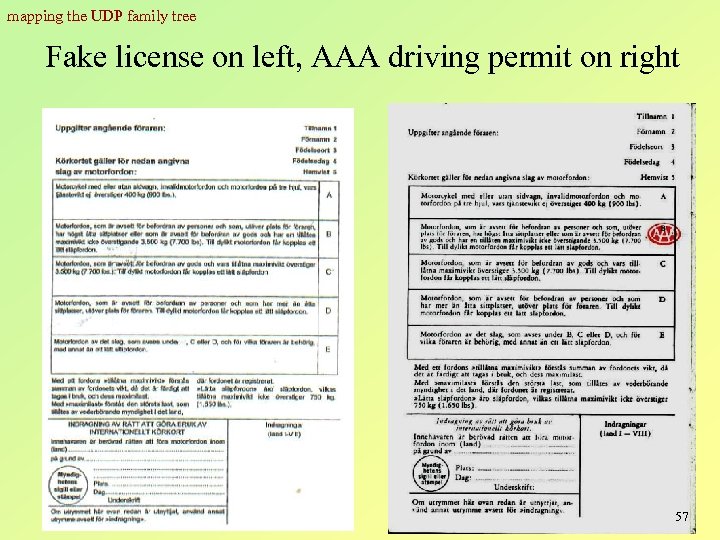 mapping the UDP family tree Fake license on left, AAA driving permit on right