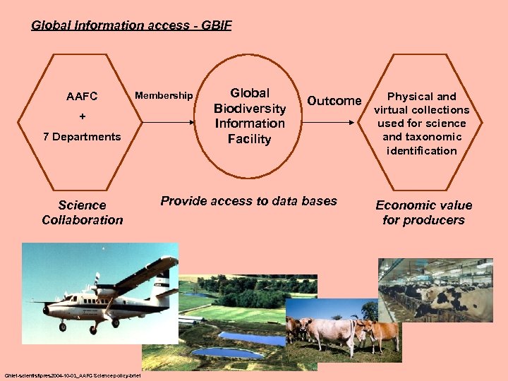 Global Information access - GBIF AAFC Membership + 7 Departments Science Collaboration Chief-scientistpres 2004