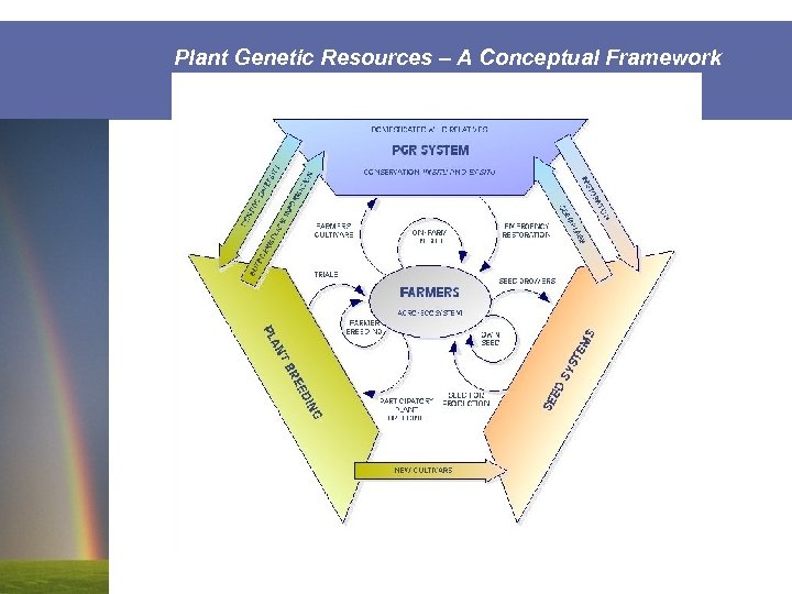 Plant Genetic Resources – A Conceptual Framework 