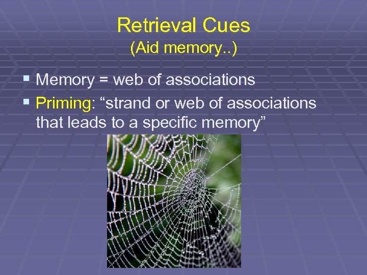 Retrieval Cues (Aid memory. . ) § Memory = web of associations § Priming: