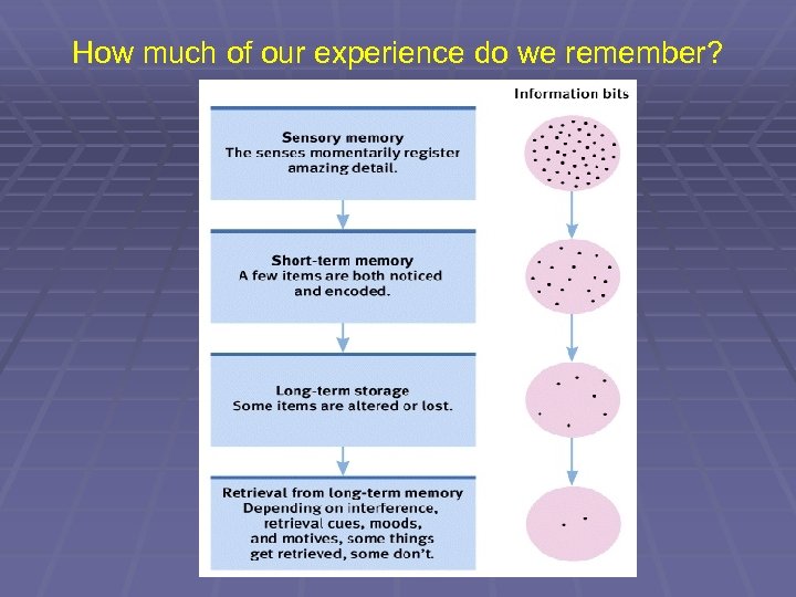 How much of our experience do we remember? 