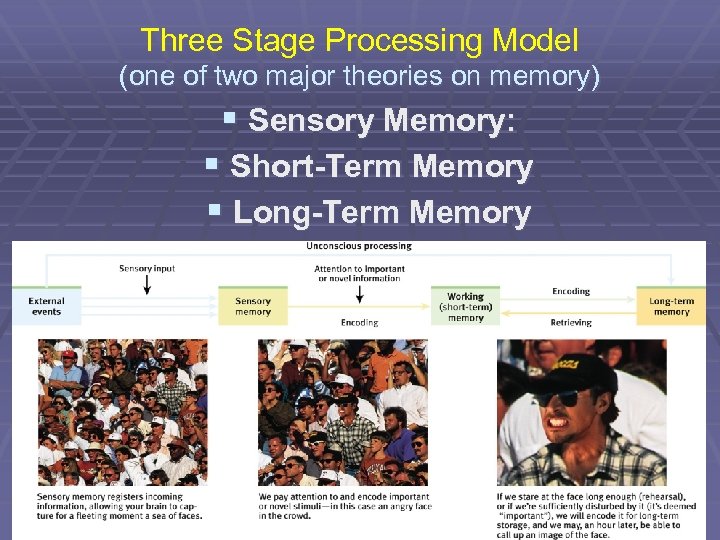 Three Stage Processing Model (one of two major theories on memory) § Sensory Memory: