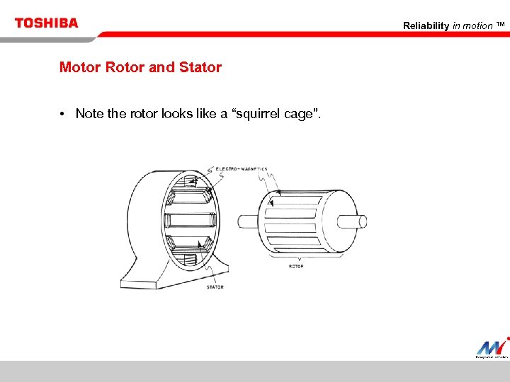 Reliability in motion ™ Motor Rotor and Stator • Note the rotor looks like