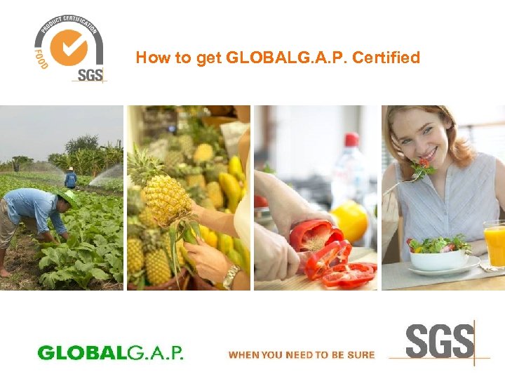 How to get GLOBALG. A. P. Certified 