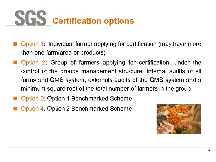 Certification options n Option 1: Individual farmer applying for certification (may have more than