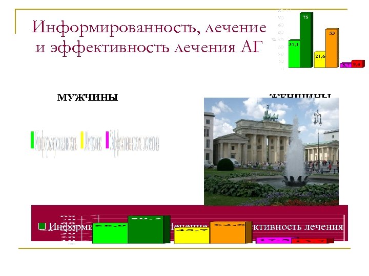 Информированность, лечение и эффективность лечения АГ МУЖЧИНЫ ЖЕНЩИНЫ 