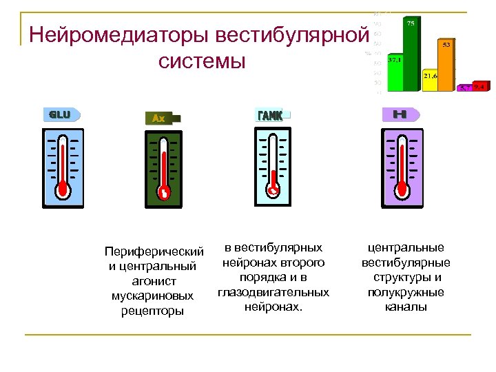Нейромедиаторы вестибулярной системы Периферический и центральный агонист мускариновых рецепторы в вестибулярных нейронах второго порядка