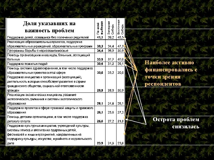 Доля указавших на важность проблем Наиболее активно финансировались с точки зрения респондентов Острота проблем