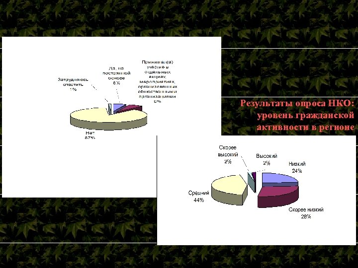 Результаты опроса НКО: уровень гражданской активности в регионе 