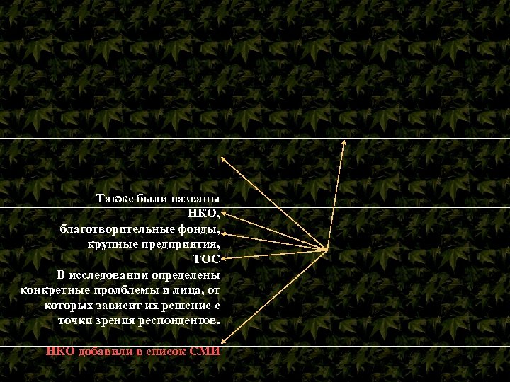 Также были названы НКО, благотворительные фонды, крупные предприятия, ТОС В исследовании определены конкретные пролблемы