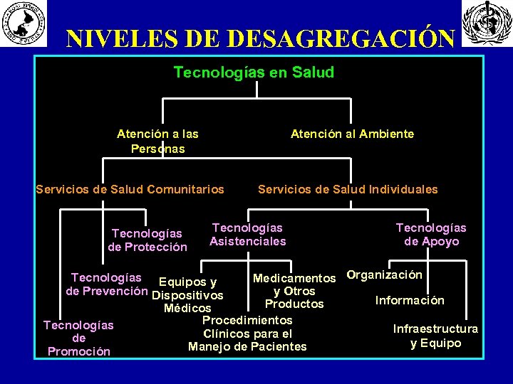 NIVELES DE DESAGREGACIÓN Tecnologías en Salud Atención a las Personas Atención al Ambiente Servicios