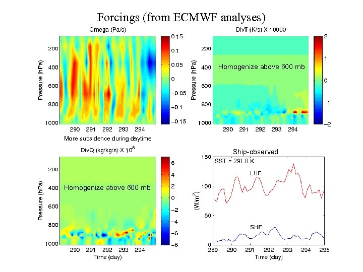 Forcings (from ECMWF analyses) Homogenize above 600 mb More subsidence during daytime Ship-observed SST