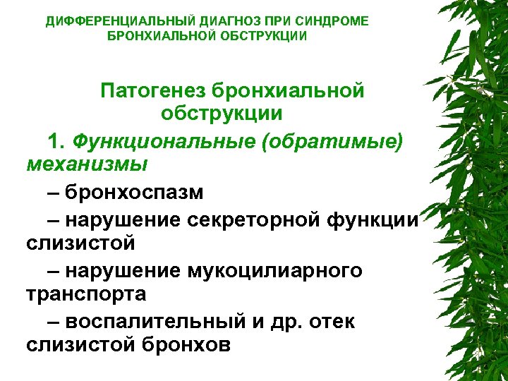 ДИФФЕРЕНЦИАЛЬНЫЙ ДИАГНОЗ ПРИ СИНДРОМЕ БРОНХИАЛЬНОЙ ОБСТРУКЦИИ Патогенез бронхиальной обструкции 1. Функциональные (обратимые) механизмы –