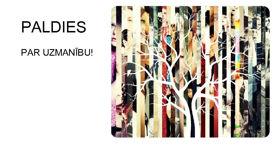 PALDIES PAR UZMANĪBU! 