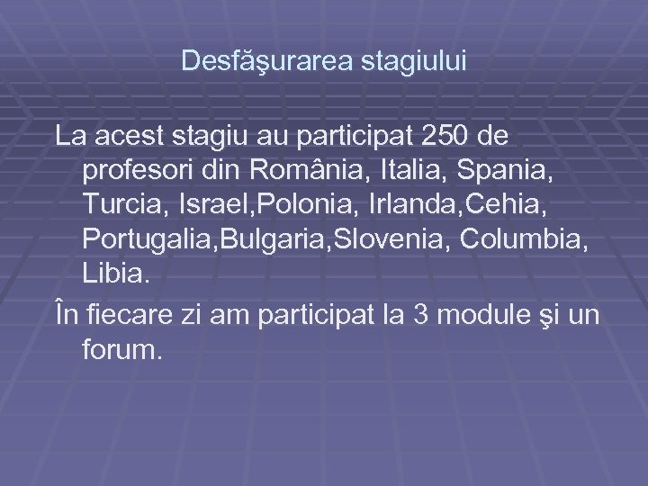 Desfăşurarea stagiului La acest stagiu au participat 250 de profesori din România, Italia, Spania,