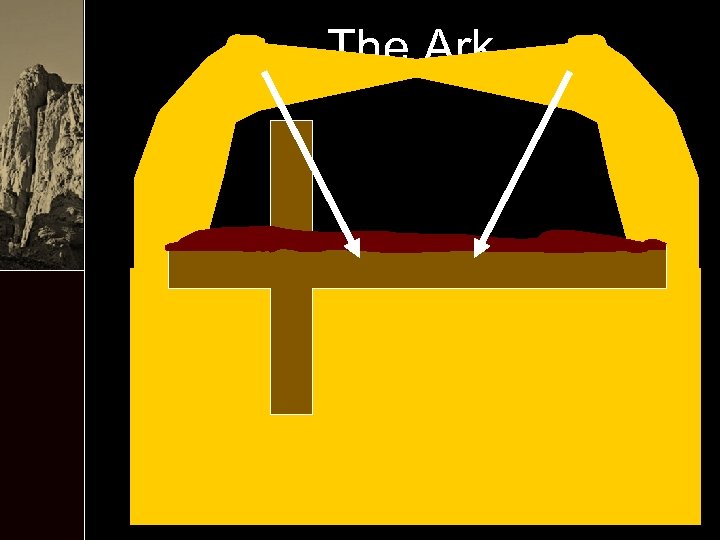 The Ark 