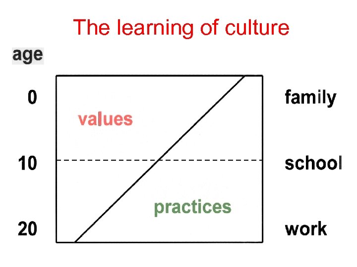 The learning of culture 