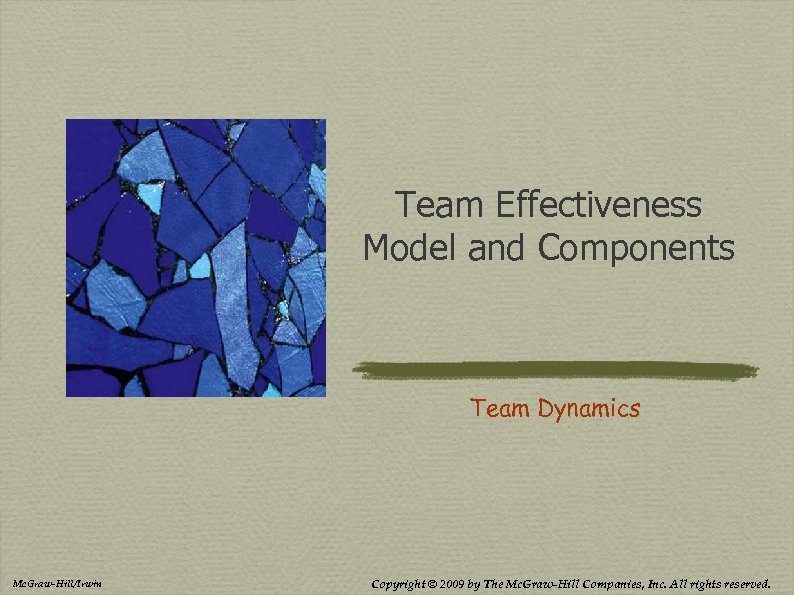 Team Effectiveness Model and Components Team Dynamics Mc. Graw-Hill/Irwin Copyright © 2009 by The