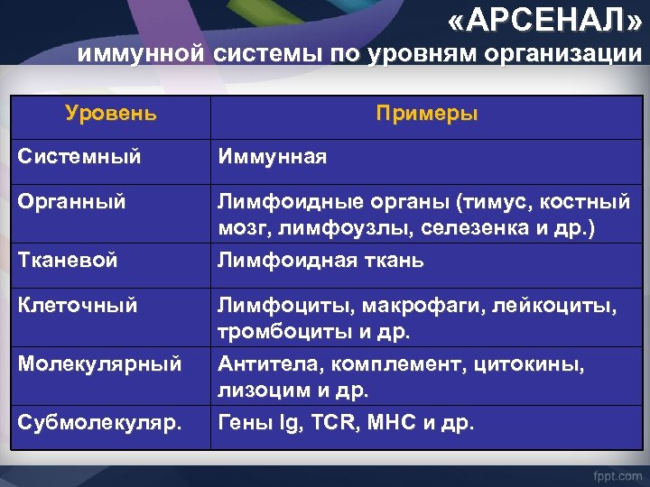  «АРСЕНАЛ» иммунной системы по уровням организации Уровень Примеры Системный Иммунная Органный Лимфоидные органы