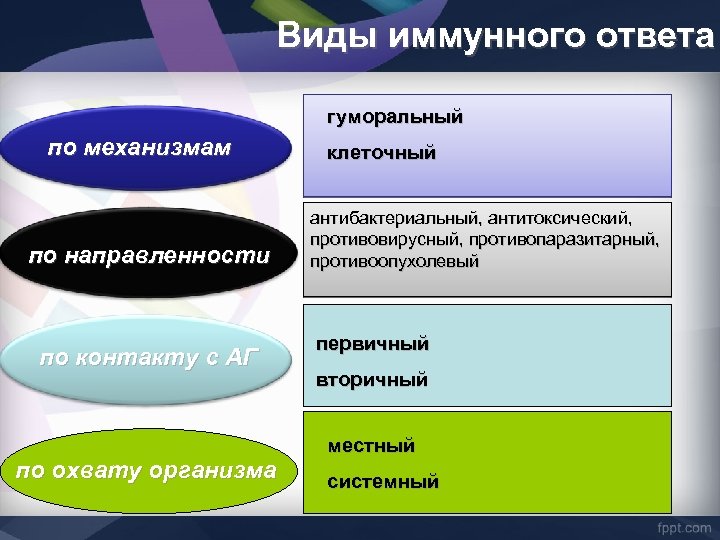 Виды иммунного ответа гуморальный по механизмам по направленности по контакту с АГ по охвату