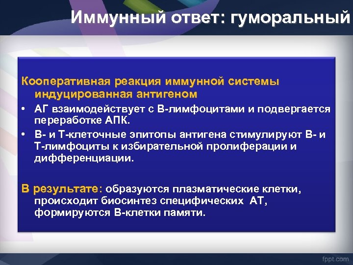 Иммунный ответ: гуморальный Кооперативная реакция иммунной системы индуцированная антигеном • АГ взаимодействует с В-лимфоцитами