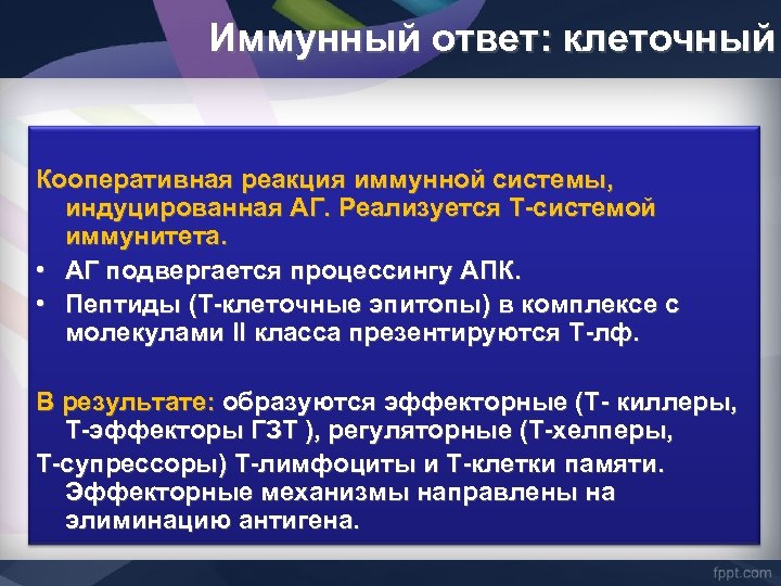 Иммунный ответ: клеточный Кооперативная реакция иммунной системы, индуцированная АГ. Реализуется Т-системой иммунитета. • АГ