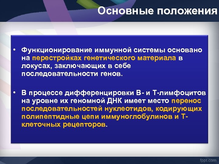 Основные положения • Функционирование иммунной системы основано на перестройках генетического материала в локусах, заключающих