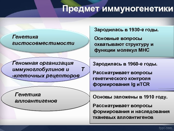 Предмет иммуногенетики Зародилась в 1930 -е годы. Генетика гистосовместимости Основные вопросы охватывают структуру и