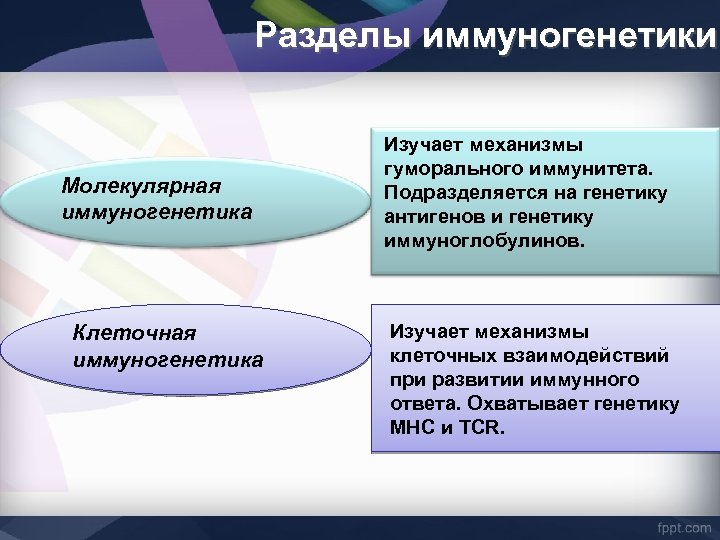 Разделы иммуногенетики Молекулярная иммуногенетика Клеточная иммуногенетика Изучает механизмы гуморального иммунитета. Подразделяется на генетику антигенов