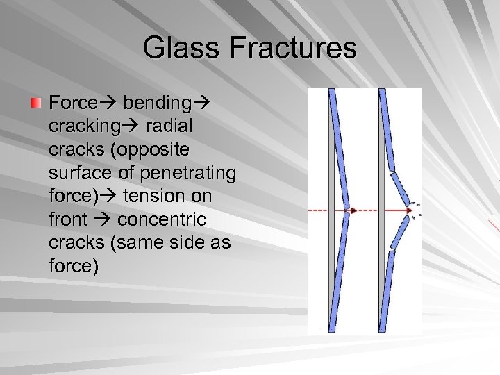 Glass Fractures Force bending cracking radial cracks (opposite surface of penetrating force) tension on