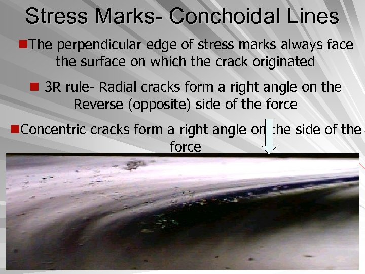 Stress Marks- Conchoidal Lines n. The perpendicular edge of stress marks always face the