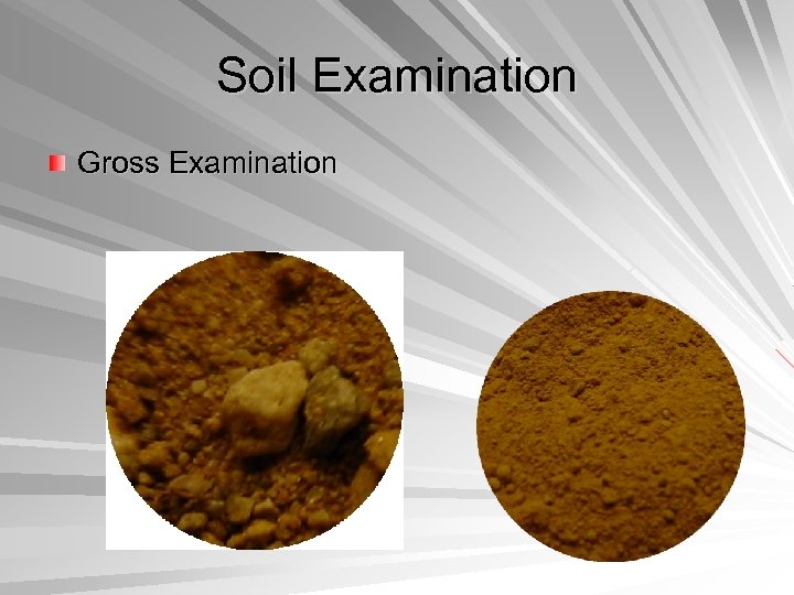 Soil Examination Gross Examination 