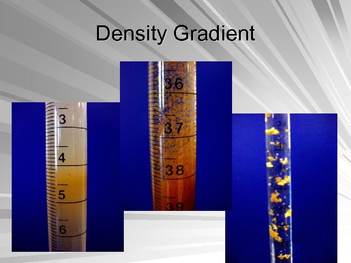 Density Gradient 