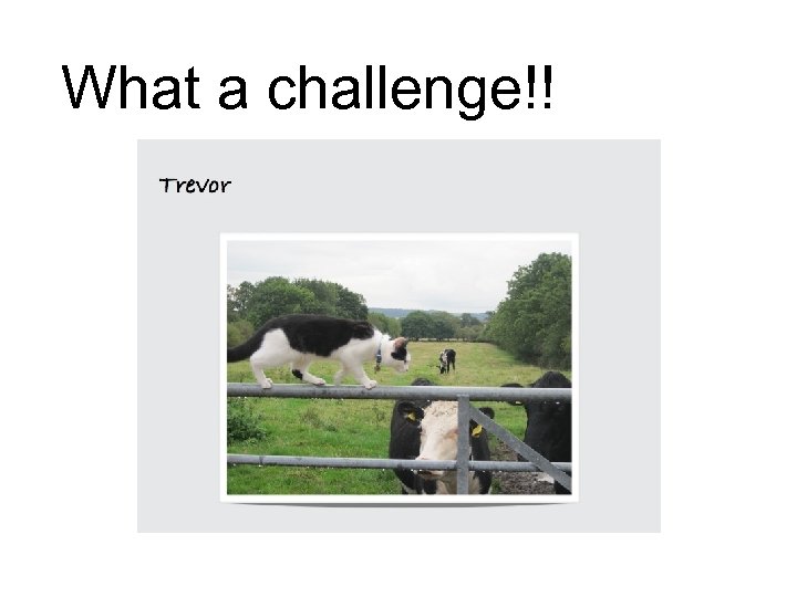 What a challenge!! 