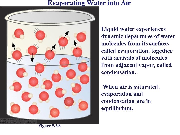 Evaporating Water into Air Liquid water experiences dynamic departures of water molecules from its