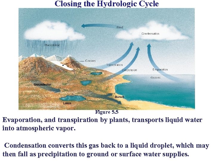 Closing the Hydrologic Cycle Figure 5. 5 Evaporation, and transpiration by plants, transports liquid