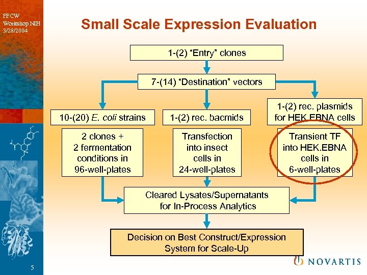 PPCW Workshop NIH 3/28/2004 Small Scale Expression Evaluation 1 -(2) “Entry” clones 7 -(14)