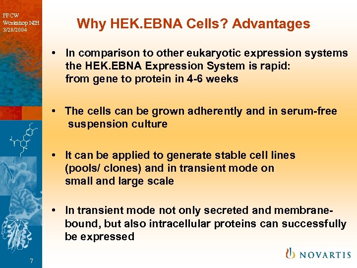 PPCW Workshop NIH 3/28/2004 Why HEK. EBNA Cells? Advantages • In comparison to other