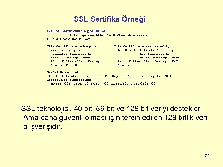 SSL Sertifika Örneği Bir SSL Sertifikasının görünümü: Bir Netscape istemcisi ile, güvenli bölgenin detayları
